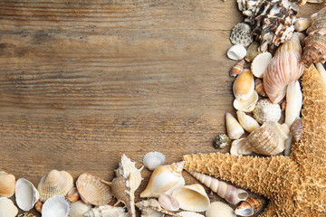 Sea shells on wooden background, flat lay. Space for text