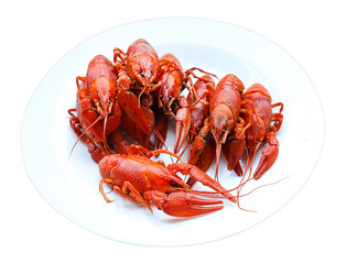 plate of river red boiled crayfish isolated on white background for your menu design or wallpaper