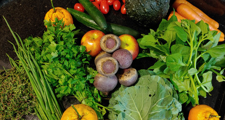 A small variety of fruits and vegetables that have just arrived from the organic fair.