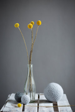 Wool spheres and bottleÔøΩwith blooming billy buttons