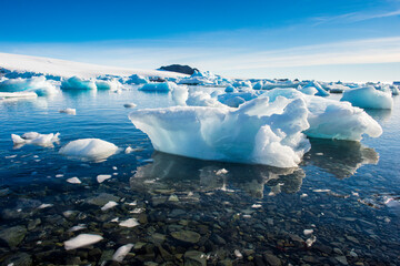 Ice floating along shore of Hope Bay