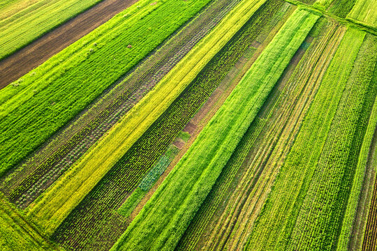Aerial view of green agricultural fields in spring with fresh vegetation after seeding season on a warm sunny day.