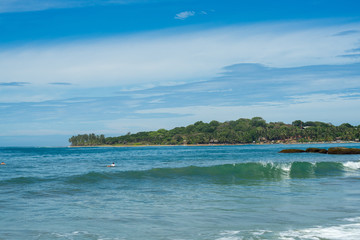 Obraz premium Surfer on the sea, palm trees on the background, blue sky. Arugam Bay, Sri Lanka. 