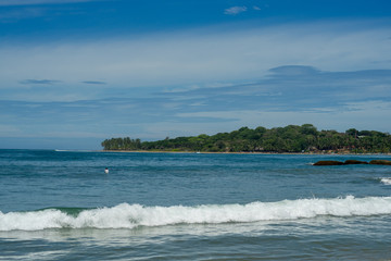 Surfer on the sea, palm trees on the background, blue sky. Arugam Bay, Sri Lanka. 