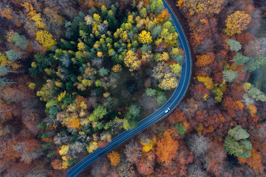Germany, Bavaria, Drone view of winding country road cutting through autumn forest in Steigerwald