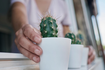 A hand holding some cactus