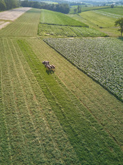 Three horse plow team on a Amish Farm in Dutch country as seen from an aerial drone image