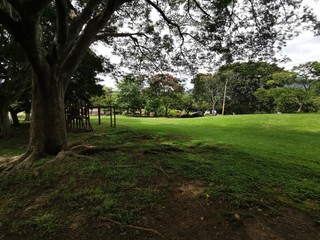 PARQUE LA SABANA SAN JOSE COSTA RICA 