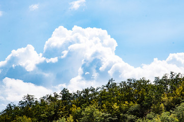 clouds billowing over the forest
