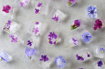 Floral ice cubes. Frozen flowers in ice.
