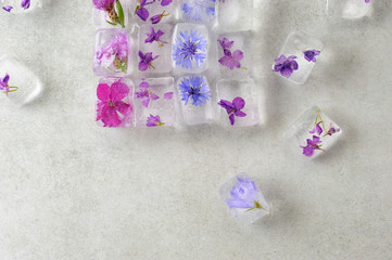 Flowers in ice cubes on the gray background.