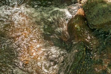 Small clear mountain stream water in the woods