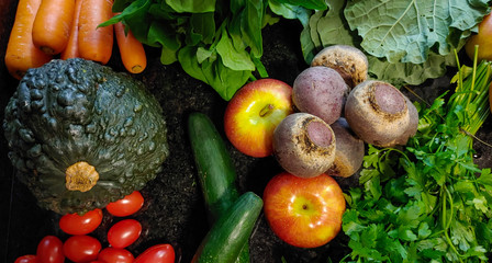 A small variety of fruits and vegetables that have just arrived from the organic fair.