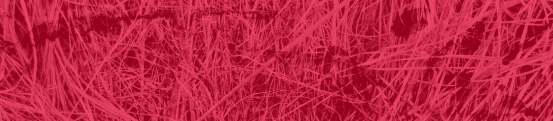 abstract bright pink and red colors background for design