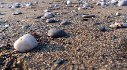 Low view across a warm sandy beach with pebbles and low evening sun