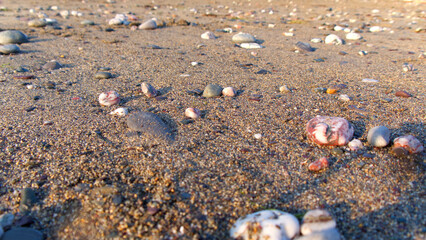 Fototapeta na wymiar Low view across a warm sandy beach with pebbles and low evening sun