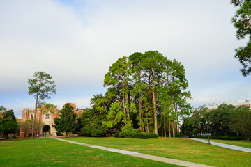 Florida State University Campus building	
