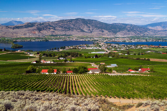 Osoyoos Okanagan Valley British Columbia Canada Landscape
