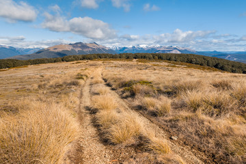 Beebys Knob hiking track in Nelson Lakes National Park, South Island, New Zealand