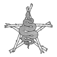 Coiled snake over sticks pentagram detailed illustration
