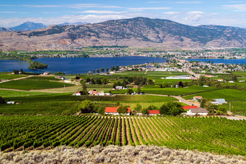 Osoyoos Okanagan Valley British Columbia Canada Landscape