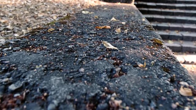 close-up of an ancient stone parapet in an old city park. Stone details.