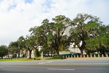 Fototapeta na wymiar The Florida Capitol at Tallahassee, Florida, USA