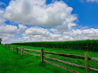 Fototapeta na wymiar Pennsylvania Dutch country farm and cornfield surrounded by a wooden fence