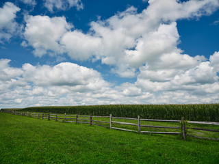 Fototapeta na wymiar Pennsylvania Dutch country farm and cornfield surrounded by a wooden fence