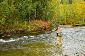 Fototapeta na wymiar Fly fishing for salmon on a small stream near Talkeetna, Alaska.