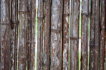 old bamboo fence