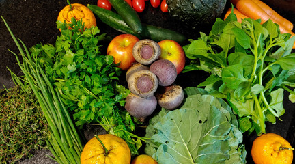 A small variety of fruits and vegetables that have just arrived from the organic fair.