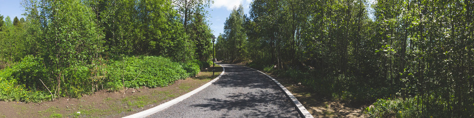 Footpath in the park. pathway with curbstone. green plants and trees. panoramic view