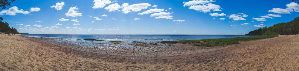 Fototapeta na wymiar Sea shore. coastline panorama. seascape with horizon line. sky with clouds. overgrown coast