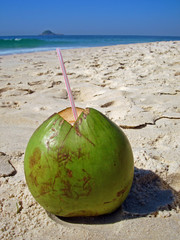 Fresh coconut at the beach, Rio