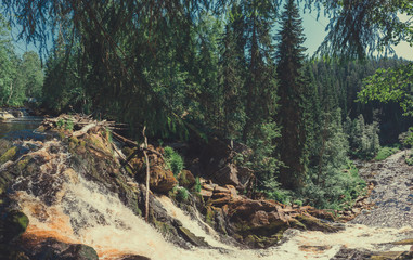Mountain river in dense forest. woodland creek. rocky watercourse. water flow with splashes