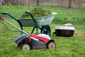Fototapeta premium Lawn mower, grass container and a garden wheelbarrow full of trimmed grass on the mowed lawn
