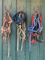 horse ropes