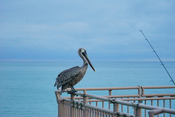 Miami north beach at sun rise	
