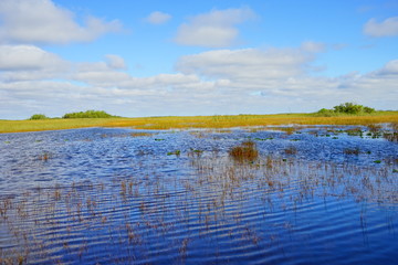 everglades national park landscape	
