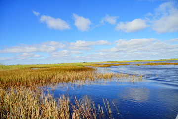 everglades national park landscape	