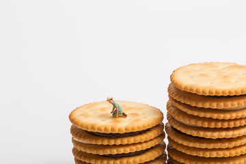 Cream sandwich biscuits and miniatures on white background