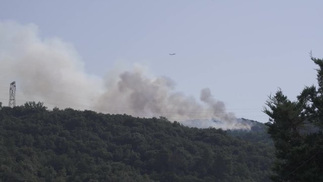 Firefighting airplane Bombardier Q400 fly over a forest fire on a sunny day