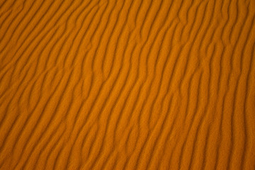 Los caminos del desierto