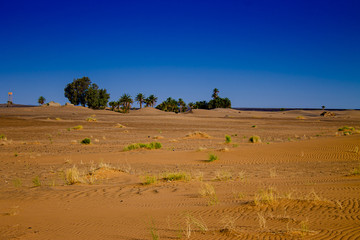 Sequía en el desierto