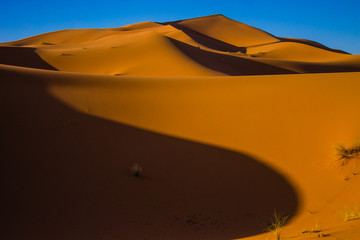 Un día en el Sahara