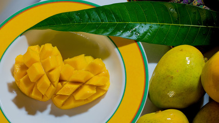 Kensington Pride Australian Mango