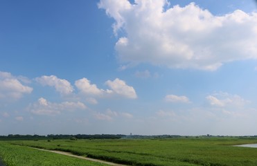 春　さわやか　渡良瀬　空　風景　栃木