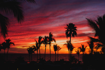 Sunset en puerto vallarta