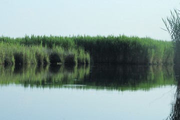 Water at Munden Lake